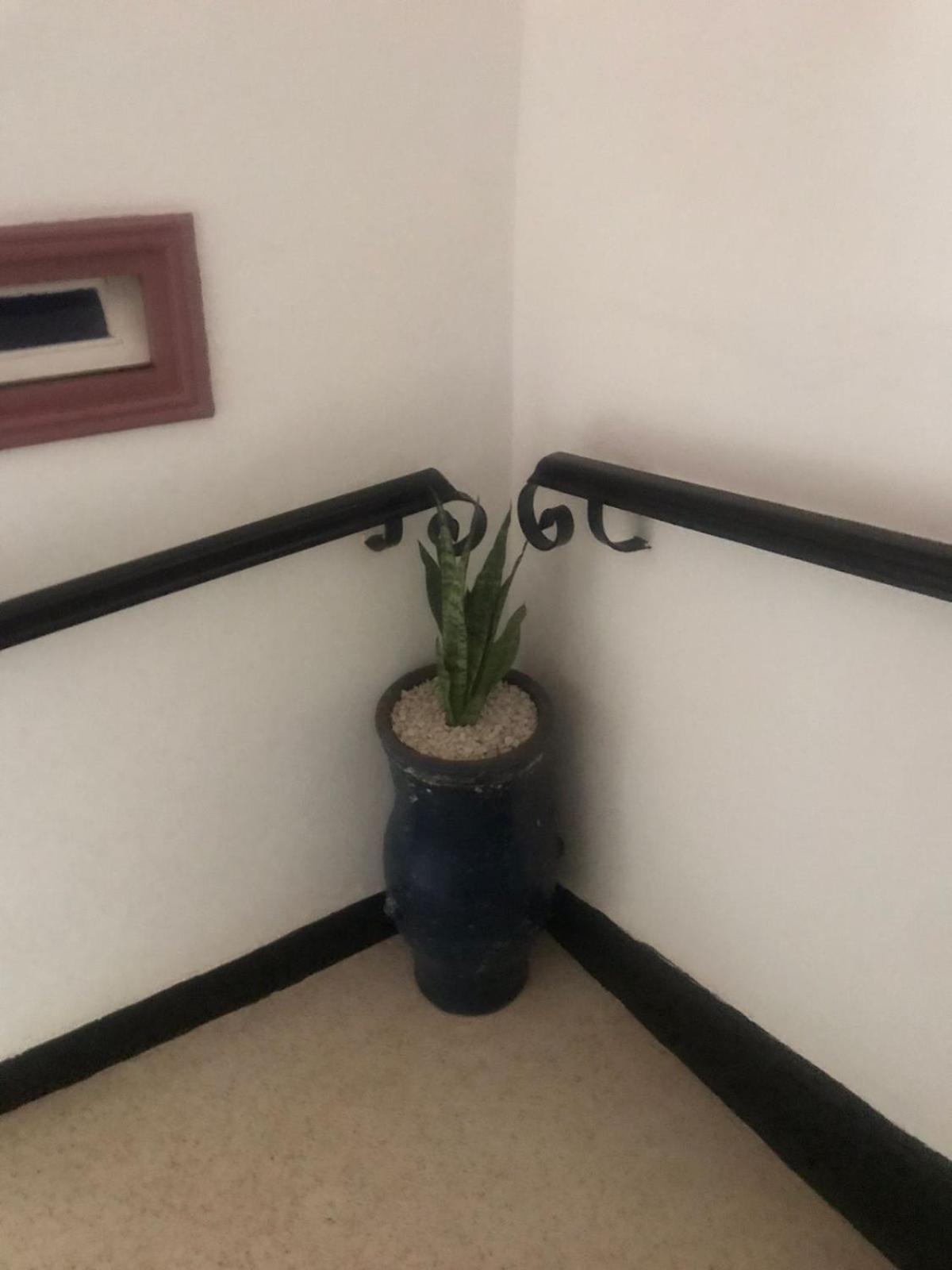 Hotel Riad Gnaoua エッサウィラ エクステリア 写真